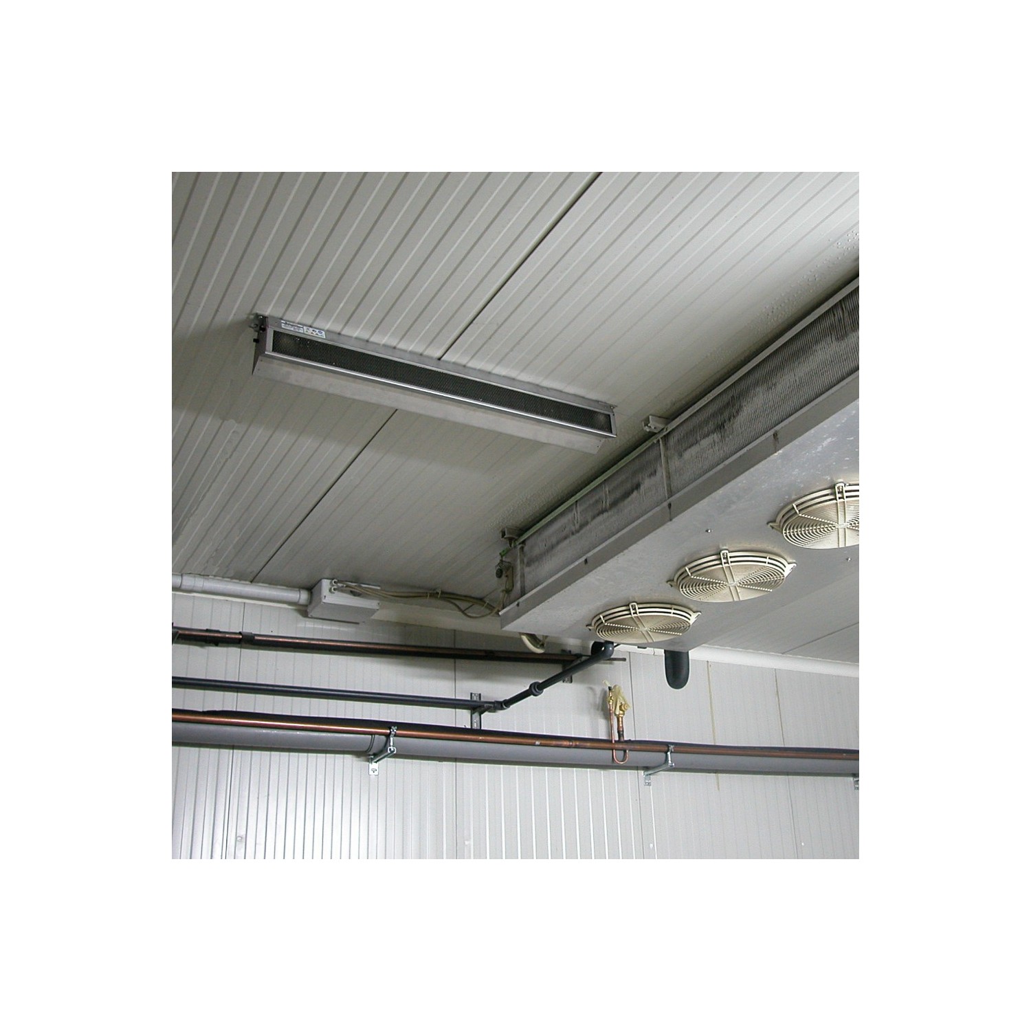 Sistema UV-C per il controllo delle muffe nelle celle frigo e di stagionatura, fino a 40 m³